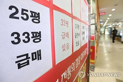 6억원 이상 주택담보대출을 제한하는 고강도 대출 규제로 서울 강남권 부동산 시장이 숨을 죽이고 있는 서울의 한 부동산 중개업소 앞에 매물 정보가 붙어 있다.