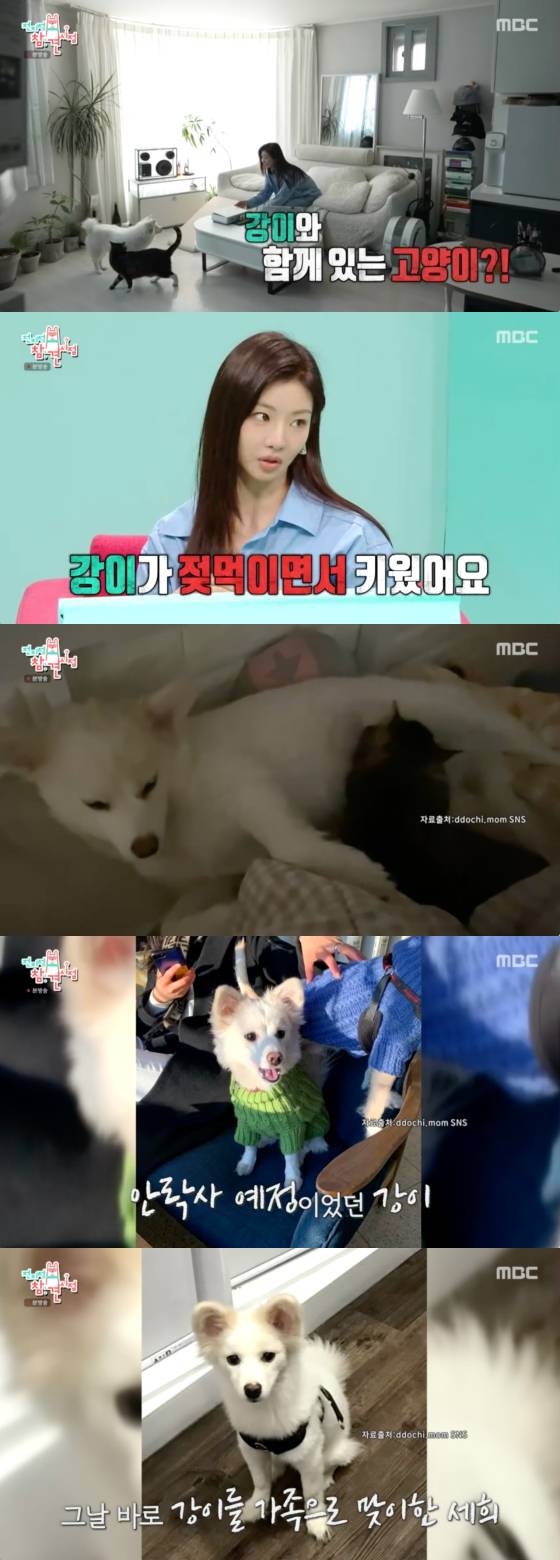 /사진=MBC 방송화면