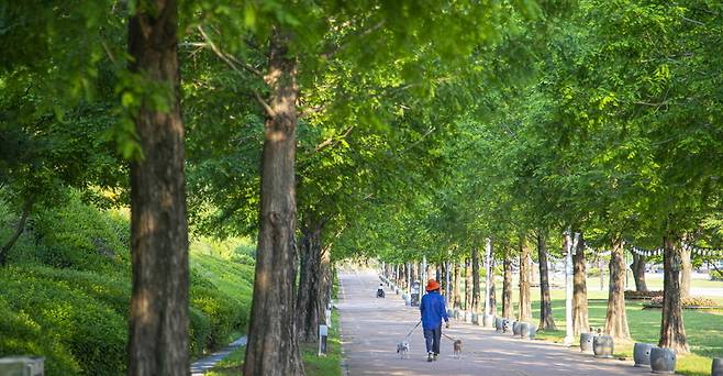 ▲ '안성맞춤랜드 같이파크' 산책로. /사진제공=경기관광공사