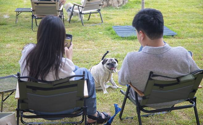 ▲&nbsp;남양주 복합레저 명소 '더드림핑' 공간. /사진제공=경기관광공사