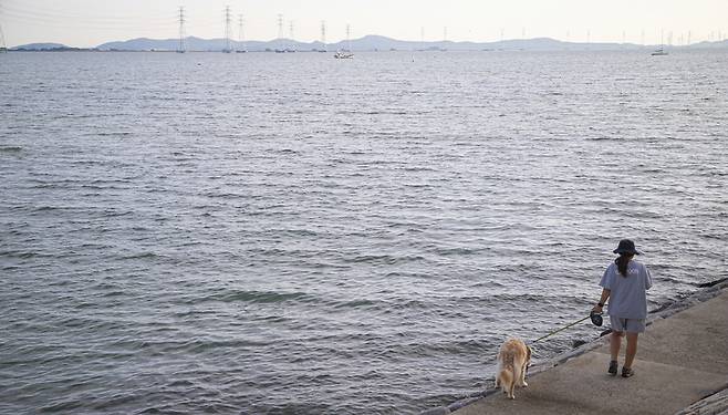 ▲'시흥 거북섬' 해안산책로. /사진제공=경기관광공사