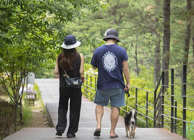 ▲ '포천 아트밸리' 산책로. /사진제공=경기관광공사