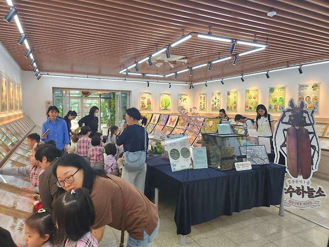 멸종위기 곤충전