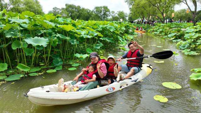제23회 부여서동연꽃축제 부여군제공