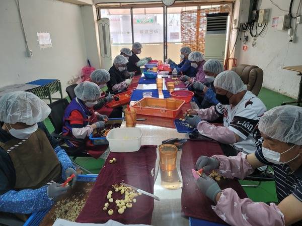 ▲ 청양지역자활센터가 '알밤까기 위탁사업'을 추진해 자활참여자들에게 안정적인 일자리와 근로 역량 강화 기회를 제공하고 있다. 청양지역자활센터 제공