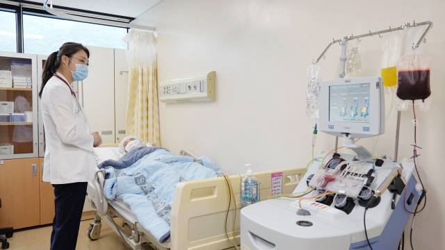 CAR-T세포 치료제를 만들기 위해 동아대병원 CAR-T세포 치료센터 이지현 교수가 환자로부터 면역세포를 분리하고 있다. 동아대병원 제공