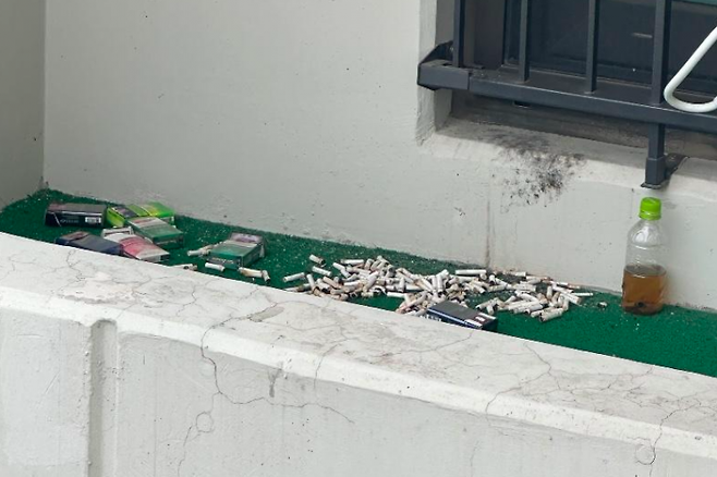 한 아파트 주민이 실내흡연을 하는 이웃 때문에 고통 받고 있다고 토로했다. 사진은 창틀 아래에 여러 개의 담배꽁초들이 쌓여 있는 모습. 보배드림