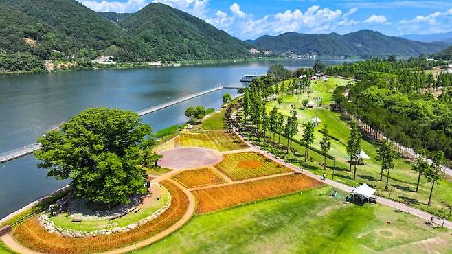 파크골프장 사랑나무. ⓒ 강원도 화천군