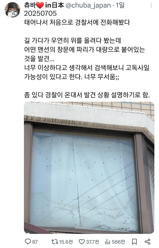 image.png 고독사 의심 신고를 한 사람.jpg