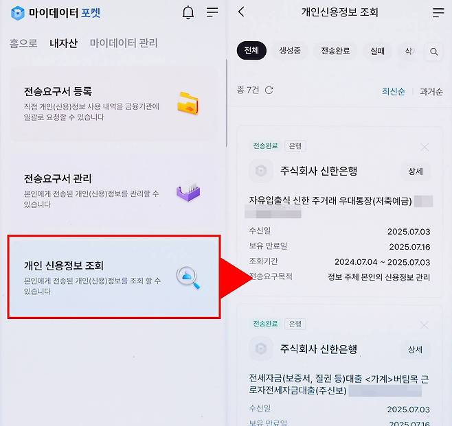 개인 신용정보 조회는 가입한 금융상품 관련 정보 확인이 가능합니다 / 출처=IT동아