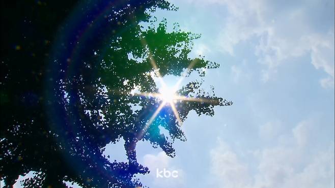 ▲ 내리쬐는 햇빛