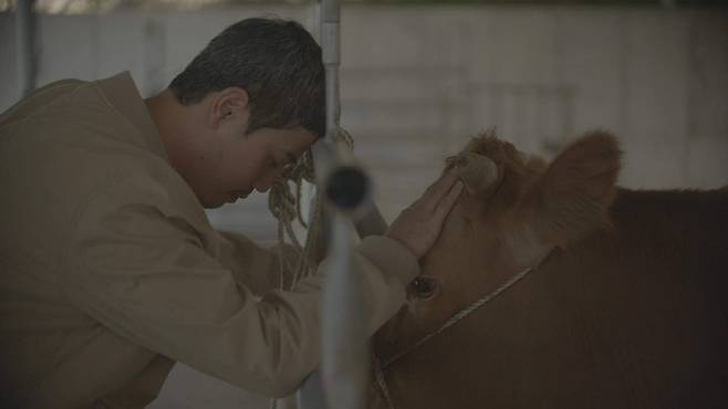 "Slaughter" (BISFF)
