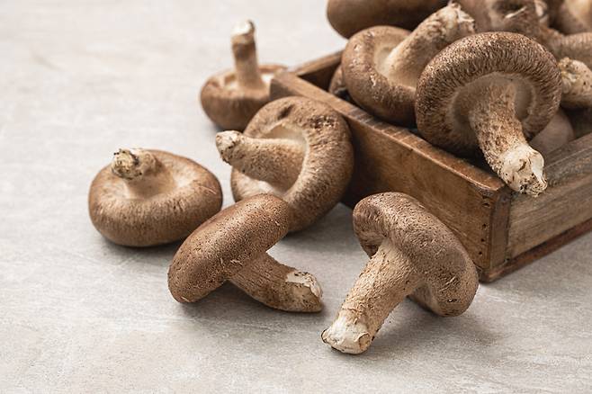 나이가 들수록 나는 특유의 '노인 냄새'를 완화하는 데 버섯 섭취가 도움이 될 수 있다는 전문가 의견이 나왔다. 기사 이해를 돕기 위한 사진./사진=게티이미지뱅크