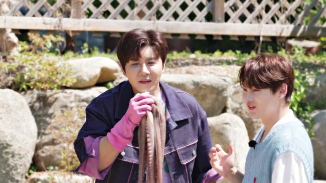 사진=크레아 스튜디오