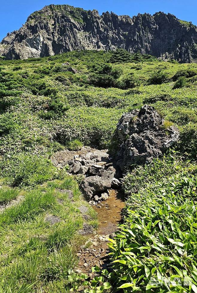 [제주=뉴시스] 임재영 기자 = 6일 오전 한라산 백록담 분화구 남벽 부근 제2방아샘에서 물이 계속 흘러나오고 있다. 제1방아샘(방아오름샘)과는 5~7m 가량 떨어져 있다. 2025.07.07. ijy788@newsis.com