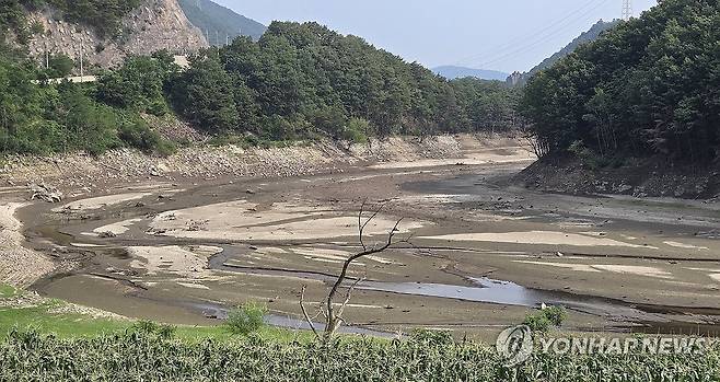 황톳빛 맨바닥 드러난 오봉저수지 (강릉=연합뉴스) 유형재 기자 = 장마철이지만 강원 동해안에는 마른장마로 가뭄이 지속돼 피해가 우려되는 가운데 7일 강릉시민 식수원인 오봉저수지 상류가 바닥을 드러내고 있다.
    오봉저수지 저수율은 현재 33.3%로 가뭄이 극심했던 작년의 52.2%, 평년의 65%보다도 매우 낮은 수준이다. 2025.7.7 yoo21@yna.co.kr