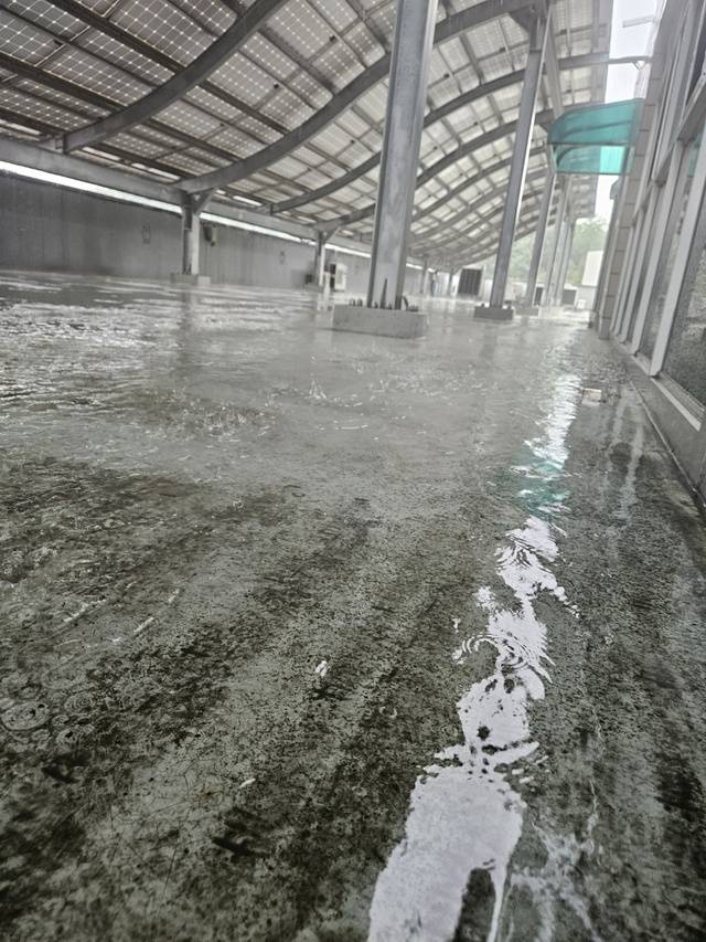 20㎜ 안팎의 비에도 빗물이 고이는 제천시청 본관 6층 옥상.