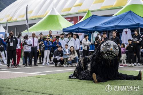 송암스포츠타운 에어돔에서 K-사파리 호사전 공연이 펼쳐지고 있다. 제공=(재)춘천레저·태권도조직위원회