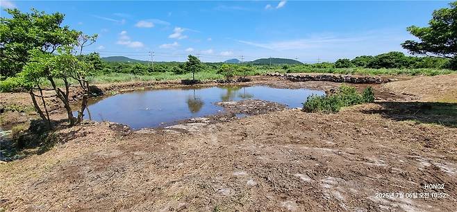 2025년 7월의 모습 / 사진=오은주