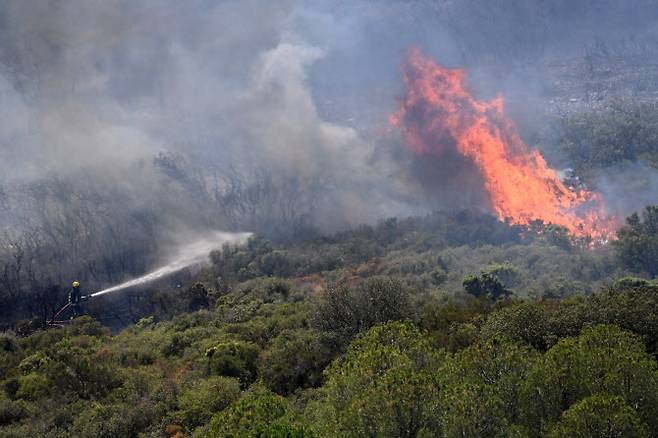 (사진=로이터통신)