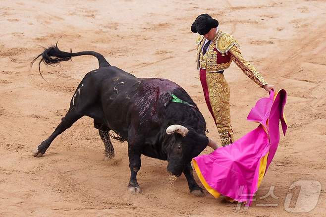 7일(현지시간) 스페인 팜프로나에서 열린 산 페르민 축제에서 투우 경기가 열리고 있다. ⓒ AFP=뉴스1