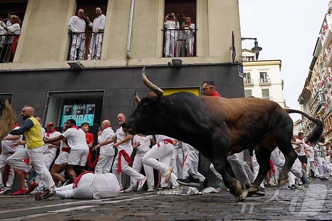 7일(현지시간) 스페인 팜프로나에서 열린 산 페르민 축제의 '엔시에로'에서 참가자들이 황소와 함께 달리다 넘어지고 있다.ⓒ AFP=뉴스1