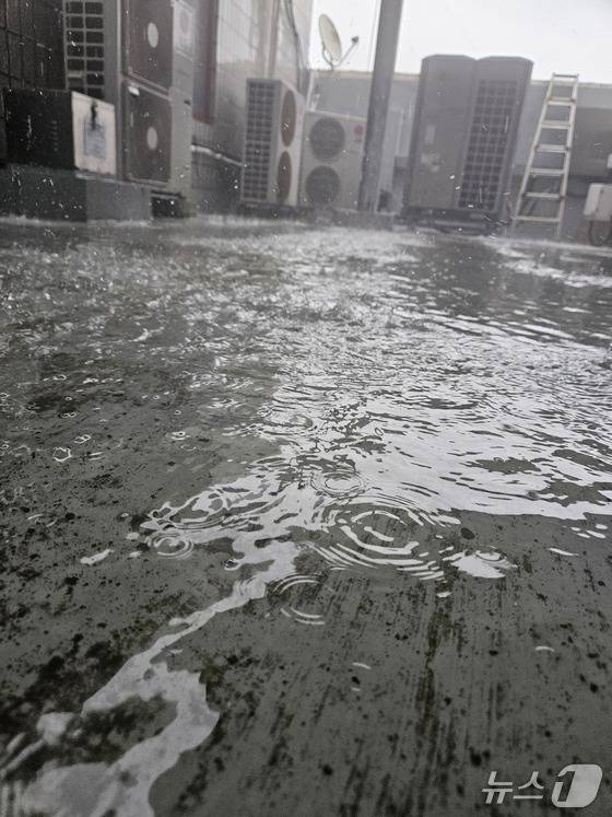 소나기로 물에 잠긴 제천시청 옥상./뉴스1