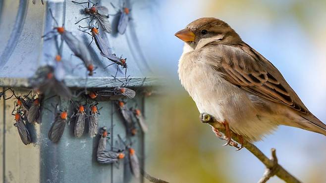 ⓒ 게티이미지뱅크