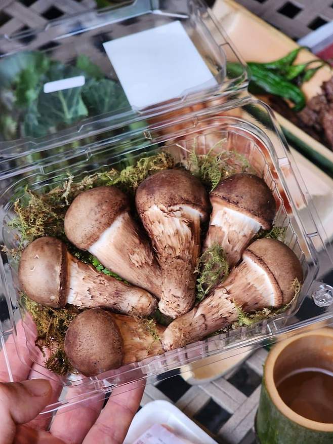 7ced8076b48b68f439ea98bf06d604033bce13076ff5e1b4984ff6