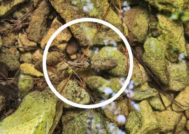 3fb8c32fffd711ab6fb8d38a4083746f74693433cc53e74b1a737c9ff5acd4b39c1b04a9bf56e3aa8ff4ec8f