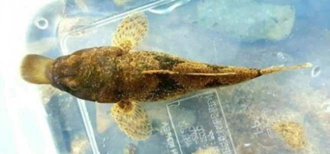 28b9d932da836ff33fe78fe74f82706e4598d123d319a6bdea69942ab58b74e99525