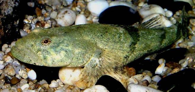 28b9d932da836ff33fe78eec4e857d6ee604500c9d02e661bbf5e37e82d613153920