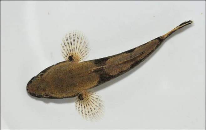 28b9d932da836ff33fe78fe743837d6e55347da1777b86376327947468db4a1171f1