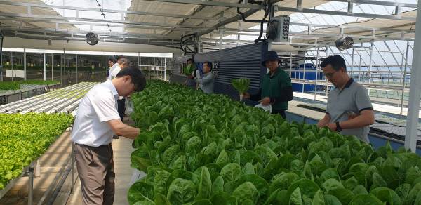 한국농업기술진흥원 관계자가 스마트팜 기업 재직자를 대상으로 현장 교육을 하고 있다. 농진원 제공