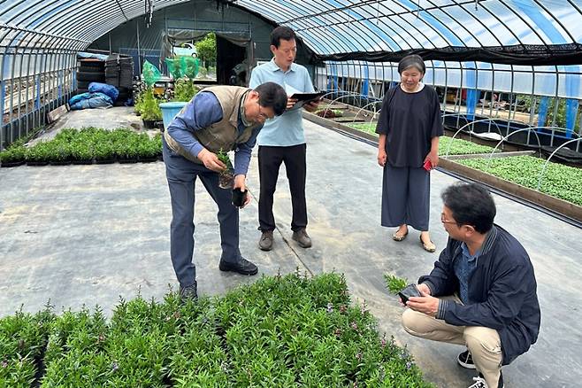 지역상생 계약재배 사업 대상 농가에 재배기술을 지도하는 모습. 한국수목원정원관리원
