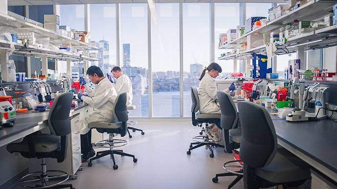 전 세계 항암제 연구의 첨병으로 불리는 미국 보스턴 바이엘 브릭센터에서 연구원들이 신약 후보 물질을 발굴하고 있다. 바이엘