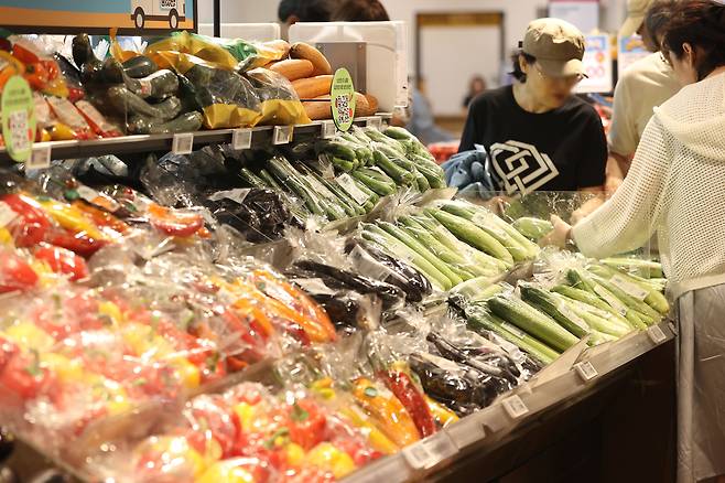 6일 서울의 한 대형마트에서 시민이 장을 보고 있다. [연합]