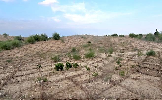 내몽골 자치구에 있는 사막. 이곳을 초원으로 바꾸려는 중국 당국의 노력이 엿보인다.