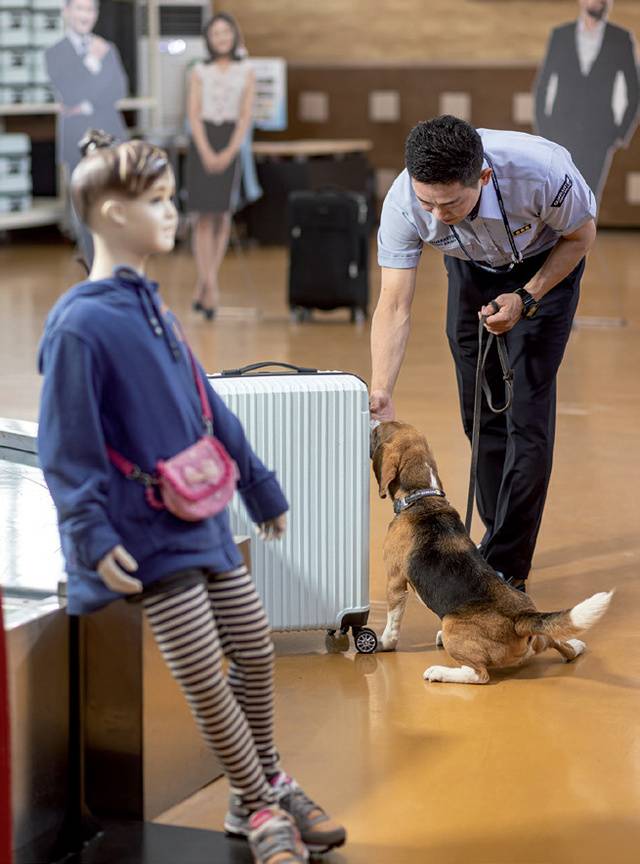 인천공항과 최대한 비슷한 환경을 만들어 놓고 탐지훈련을 진행한다.