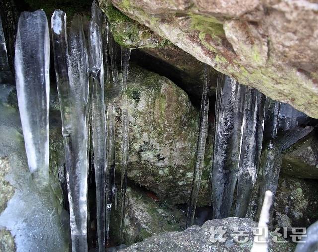풍혈지 가운데 하나인 경남 밀양 얼음골의 고드름. 얼음골은 여름에 5~10℃를 유지한다. 농민신문DB