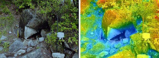 강원도 정선군 북평면 장열리 풍혈지 열화상 촬영. 국립수목원