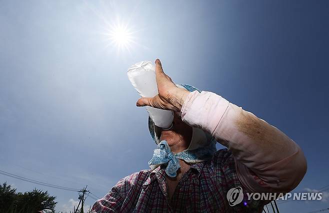 얼음물 마시며 폭염 속 밭일 [연합뉴스 자료사진]