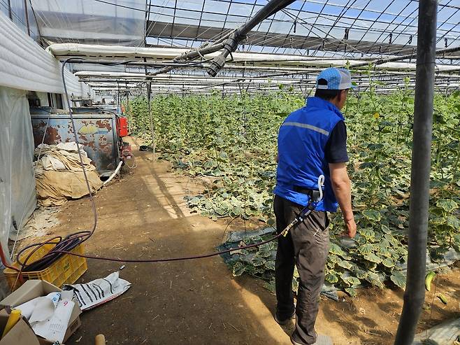 에어 냉각조끼 착용 후 작업하는 모습 [아산시 제공. 재판매 및 DB 금지]