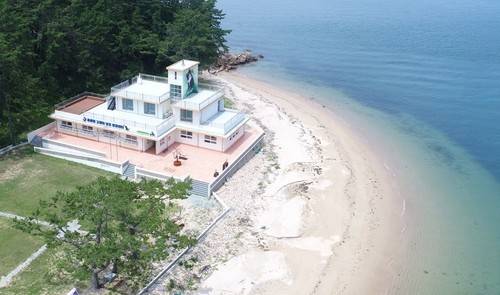 통영 용호도 고양이학교 [통영시 제공. 재판매 및 DB 금지]