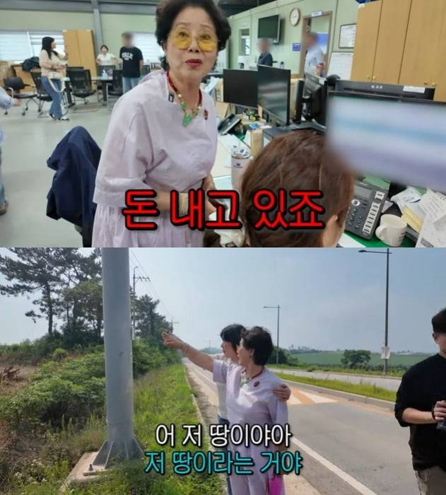 사진 = 유튜브 채널 '순풍 선우용여' 캡처