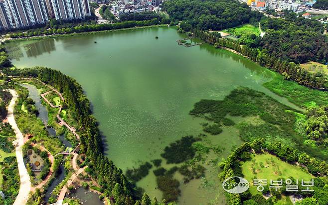 올여름 일찍 끝난 장마와 이어지는 무더위 탓에 경기 지역 저수지마다 녹조 현상이 극심해지고 있는 가운데 9일 오전 수원시 장안구 일월저수지가 녹조로 인해 전체적으로 초록빛을 띄고 있다. 김경민기자