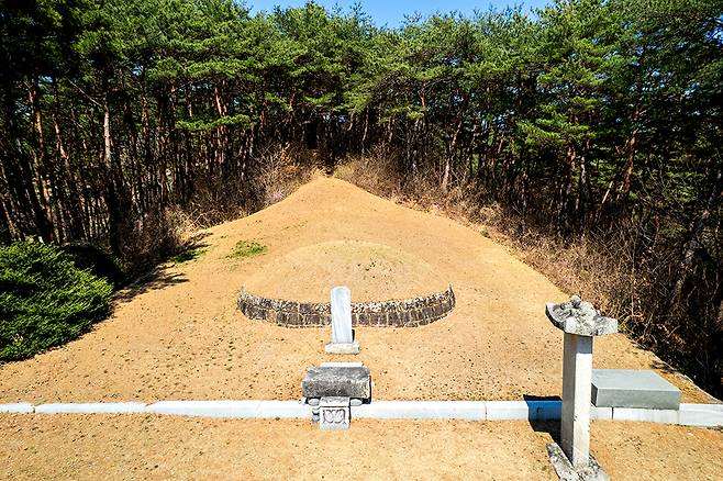 박수량 묘소와 백비 전경