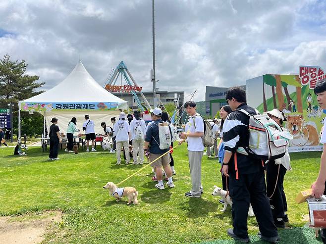 댕댕트레킹 행사 현장 (사진=강원관광재단)