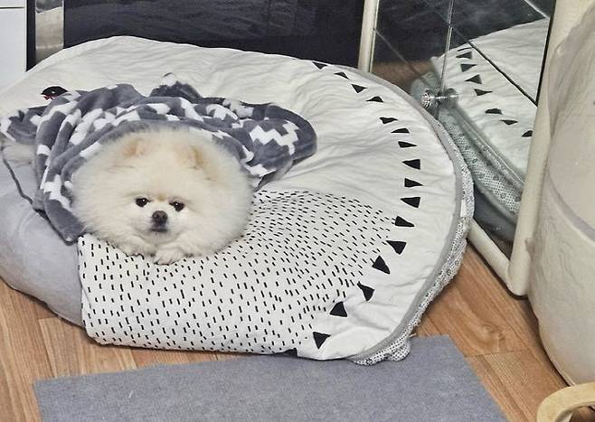 (사진=창원소방본부 제공)