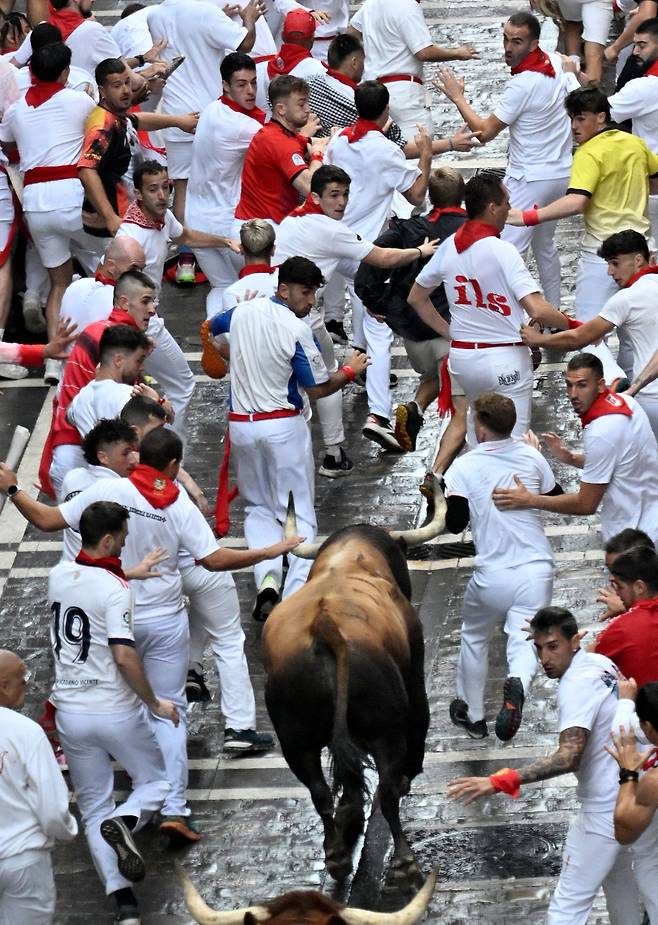 7월 7일, 스페인 북부 팜플로나에서 열리는 산 페르민 축제의 첫 번째 '엔시에로'(황소 달리기)에서 참가자들이 뒤에서 쫓아 오는 황소를 보며 앞서 달리고 있다./AFP 연합뉴스